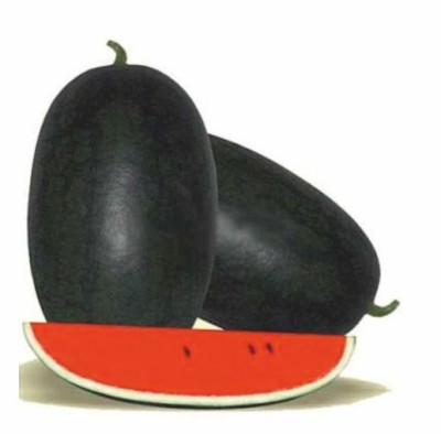 HY WATER MELON COOL QUEEN